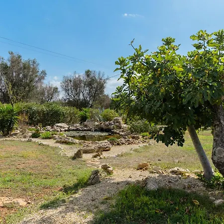 Villa Alexander Con Piscina By Wonderful Italy San Vito dei Normanni